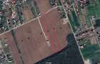 8.500 mp, cu deschidere la padure, dublă deschidere, Snagov –Ghermanesti - 3