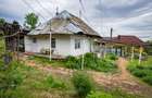Casă din chirpici, bucătărie de vară și 1.34 ha de teren, Ardeoani - 6