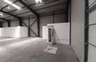 Hale de 500mp si 600mp in zona Progresul, Jilava - 15