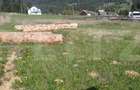 Teren intravilan, 979 mp, zona Plaiu Sarului - Vatra Dornei - 2