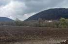 6700 MP TEREN ALBESTI- SIGHISOARA - 1