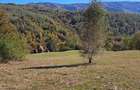 Teren extravilan in localitatea Bulz - 3