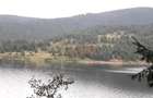 Teren de vanzare 29.131m²/35€ m² lac Belis, la Paraul Butoaie, Giurcuta - 1