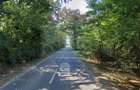 Teren 10,000mp Afumati | Padure | Soseaua Petrachioaia - 5