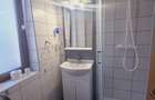 Inchiriez casa Bunloc Sacele-Timisul de Jos cuacces auto pet friendly - 25