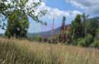 Teren 1000 mp cu view superb in Busteni - 3