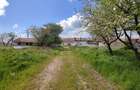 Teren parcelabil, 4,1 Ha, Brașov - Bod. Negociabil! - 3