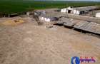 ID 7905 Oportunitate investiție agro-industrială - EXCLUSIVITATE
