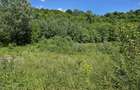 Cornu, Prahova, teren intravilan. 5.012mp, cu deschidere la DN1 38ml - 3