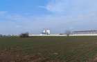 Dragomiresti Valea - Langa Centura, teren 31.200 mp, 28E/mp - 5