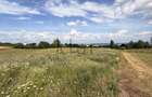 Teren 2900 m2 in Aiton ideal pentru investitie - 7