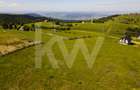 Teren 1003 mp în Păltiniș | Priveliște panoramică către munți - 3