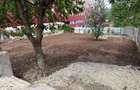Teren de 539 mp , intravilan , GRUIA - 5