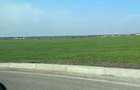 Vanzare teren Buftea | Strada Milano | Intravilan - 4