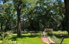 U CENTER cladirea B, Tineretului, 389 - 1850 mp  0% comision! - 15