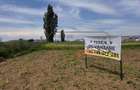 Teren intravilan | 4.900 mp | Depozit Profi | Acces drum betonat - 7