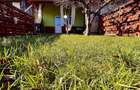 Apartament generos cu 2 camere, curte proprie – Strada Podului, Sibiu