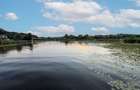 Teren în Snagov, intre Lac și Pădure - 4