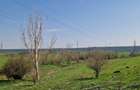 Fermă de vânzare 8 ha – Balș, județul Olt - 11