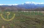 Vindem teren Sibiu, Valea Lupului, priveliste deosebita - 9