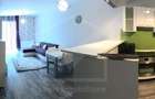 Apartament de inchiriat, 2 camere, pet friendly, zona Platinia - 13