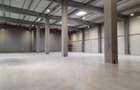 Spatiu Industrial - 5000 mp - Logistica - Productie - Depozitare - Distributie - 7