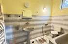 Proprietate cu 2 case | Teren 546 mp | Str. Albinelor Nr.18 - Carei - 10