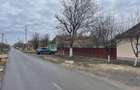 Casă și teren 2177 mp Ortisoara -28ml front-comision 0 - 2