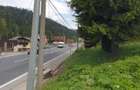 Teren intravilan de vanzare Predeal - 1