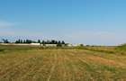 Teren intravilan 2,502mp Moara Vlasiei - 5