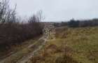Teren 1000 mp-ideal casa de vacanta, investitie-Zona Valea Budacului - 1