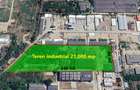 Teren industrial 21.000 mp si Constructii  2.000 mp Nord - Giurgiu - 1
