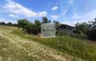 Teren de 11.000 mp cu casă și teren agricol | La 40 km de București | - 6