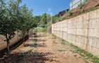 Teren intravilan | 1500 mp | Toate utilitatile | Micesti-Sard - 5