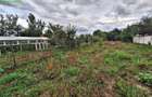 Teren 1329 mp | Casa batraneasca | Toate utilitatile, Zona Serbanesti, Bacau - 11
