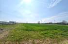 Teren intravilan | Dragomiresti Vale | Sat Zurbaua IF | INVESTITIE - 7
