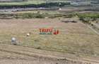 Teren pentru relaxare și agricultură în Barabant, Alba Iulia – Ex - 8
