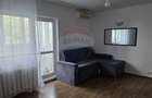 Apartament 2 camere decomandat/mobilat Dristor - 11
