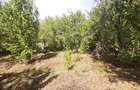 Oras Baicoi casa 90mp ,teren 1750 mp - 6