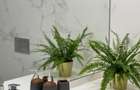 One Mircea Eliade, apartament cu vedere spre lac - 7