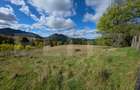 Teren 1,5 hectare - la Piatra Fantanele - 3