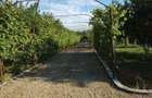 Ciopani vila 5 camere teren 4000 mp - 10