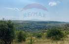 Teren Intravilan | Investitie | Baciu | Comision 0% - 4