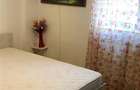 Inchiriere Apartament cu 2 camere Alexandru cel Bun - 4