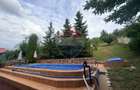 Leamna de sus, casa cu piscina, 2000mp - 8