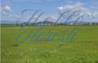 Teren intravilan 1.440mp pretabil duplex | Floresti - 1