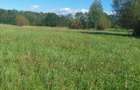 TEREN INTRAVILAN\699 mp, 45€ mp\ CARANSEBEȘ\ ZONA TEIUȘ - 6