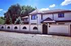 Vila superba in Snagov langa padure - 1