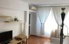 Dorobanti Caragiale- contract ANAF- pet friendly - 5