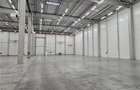 Spatii Industriale - 9500 mp - Logistica - Productie - Depozitare - Distributie - 15